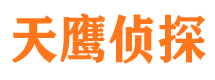 天等侦探公司